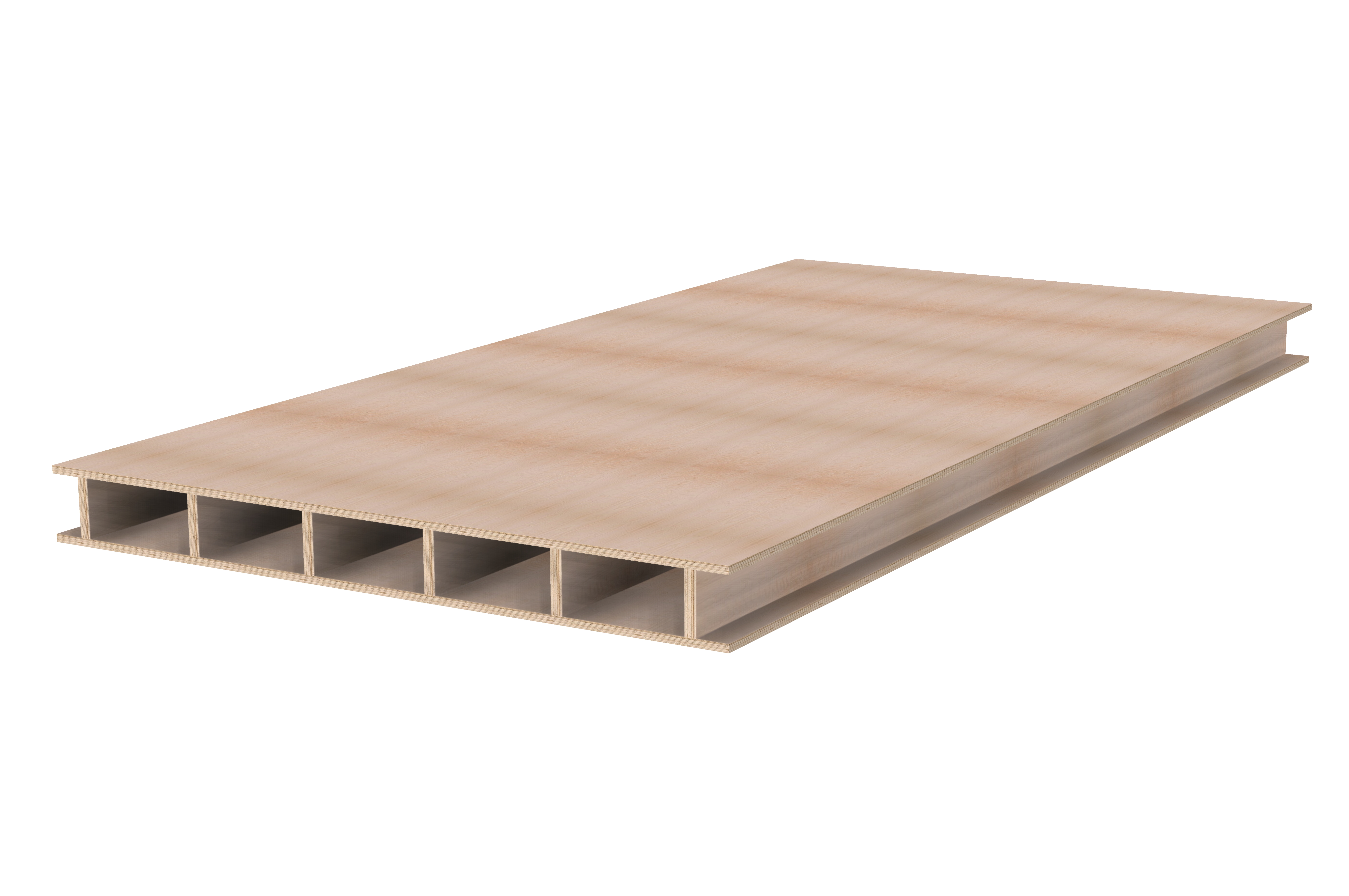 Rendering of an LVL box element.