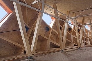 Photo of the interior of the egg-shaped wooden sculpture at the Floriade in Venlo.