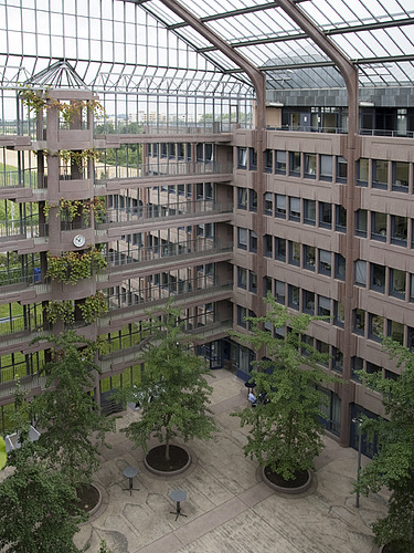 Photo in the interior of the ZÜBLIN headquarters in Stuttgart. You can see a large glass dome and trees.