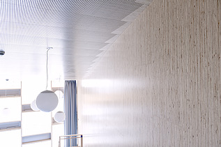 Close-up of the Fineline wood look.