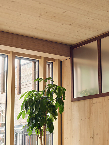Photo of an interior of the Black and White office in London. You can see wooden surfaces, windows and a plant.