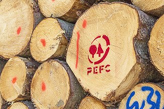 Sustainability at ZÜBLIN Timber Photo of tree trunks with red imprint of the PEFC label