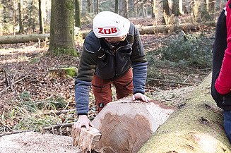 Photo of logs with a man in a ZÜBLIN hard hat bent over them.