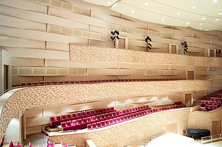 Photo of the concert hall of the Mariinsky Theater in St. Petersburg. FSH acoustic elements.