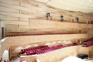 Photo of the concert hall of the Mariinsky Theater in St. Petersburg. FSH acoustic elements.
