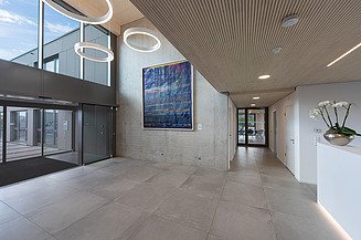 SF object construction at ZÜBLIN Timber. ZÜBLIN office extension project, Neu-Ulm area Photo of the reception room of the new ZÜBLIN office building in Neu-Ulm. You can see a wooden ceiling and a concrete wall with a picture.