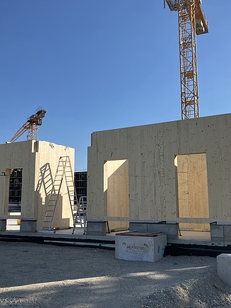 Foto der Holzbaumontage des Projekts AELF in Landshut.