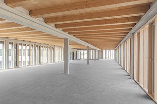 Photo of the Flexim Berlin shell from the inside. On display: Wood-concrete composite ceilings.