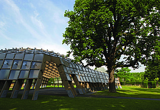 Foto des Serpentine Pavillons in London. Man sieht eine offene, begehbare Holzkonstruktion auf einer grünen Wiese mit einem Baum.