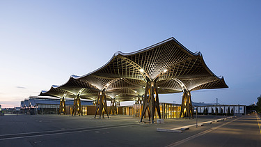 Foto des EXPO-Dachs in Hannover. Holzdachkonstruktion.