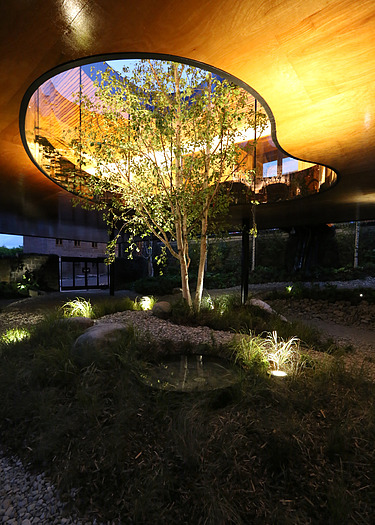 Foto eines beleuchteten Gartens mit Überdachung. In der Mitte ist ein Loch, in dem ein Baum hochwächst.
