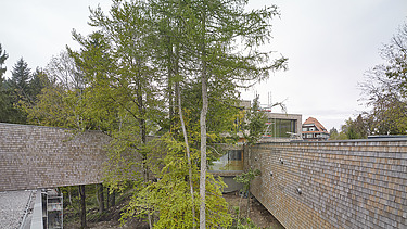 Foto von dem Besucherzentrum in Ruhestein, Außenaufnahme Detailbild Fassade.