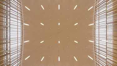 Foto einer Holzdecke mit vielen Strukturen und Strichen ist zu sehen.