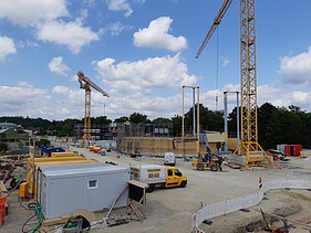 Photo of the wooden construction of the Globe Theater Coburg.