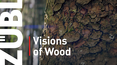 Foto eins Baumstamms im Wald