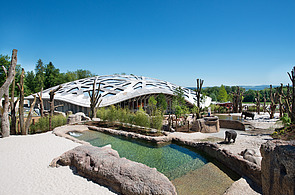 Geschichte ZÜBLIN Timber Foto vom Elefantenhaus des Zoos in Zürich. Zu sehen ist ein Gebäude aus Holz, Elefanten und ein Park.