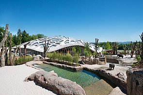 Foto vom Elefantenhaus des Zoos in Zürich. Zu sehen ist ein Gebäude aus Holz, Elefanten und ein Park.