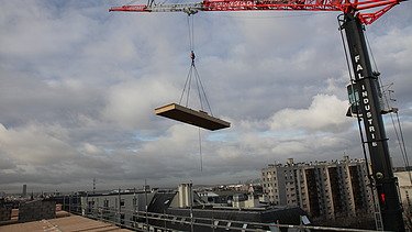Photo of a floating wooden element on the crane.