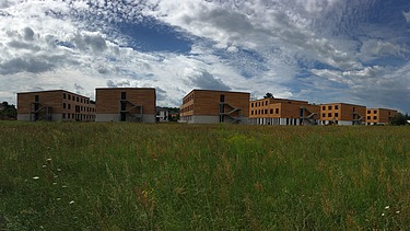 Photo of the student dormitory in Golm. You can see several wooden buildings in the distance.