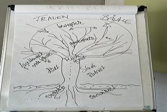 Photo of a tree sketch with labels