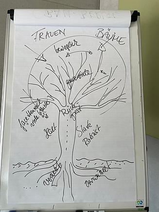 Photo of a tree sketch with labels