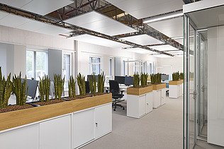 Photo of an office space with many plant boxes.