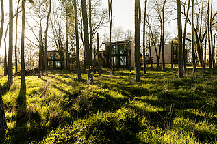 Foto von einem Wald mit kleinen Holzhäuschen. Man sieht auch viel Gras.
