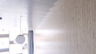 Nahaufnahme der Fineline-Holzoptik.