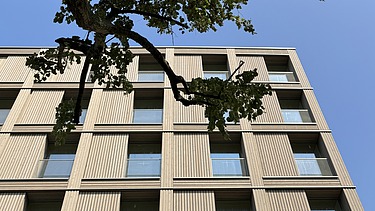 Foto der mehrgeschossigen Wohnanlage in der Stendaler Straße Berlin. Man sieht ein hohes Gebäude mit Holzfassade und einen Ast eines Baumes davor.