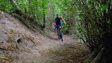 Foto von einem Fahrradfahrer, der einen Waldtrail bestreitet.
