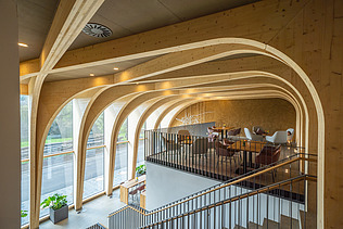 Photo of the interior of the wine hotel in Gengenbach. Striking cloister vault made of LENO-BSP.