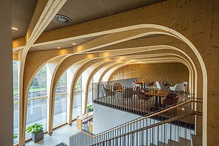 Photo of the interior of the wine hotel in Gengenbach. Striking cloister vault made of LENO-BSP.