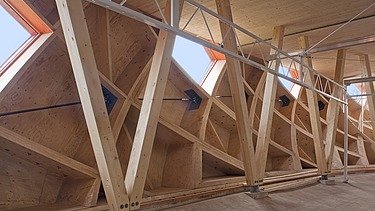 Photo of the interior of the egg-shaped wooden sculpture at the Floriade in Venlo.