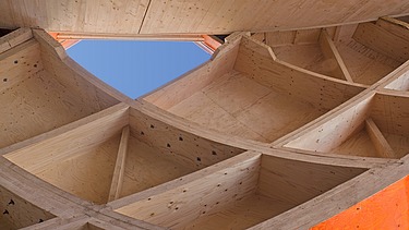 Detailed photo of the interior of the egg-shaped wooden sculpture at the Floriade in Venlo.
