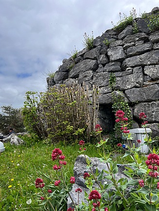 Foto von der Landschaft in Dublin. 