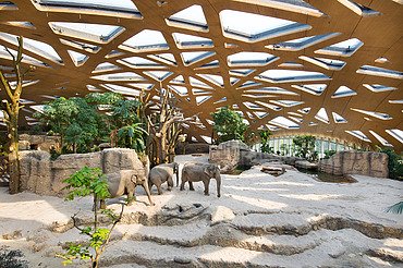 Elephant Park Zurich Photo of the elephant park in Zurich from the inside. You can see a large wooden roof construction and elephants.
