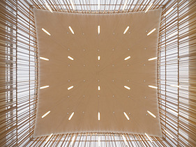 Foto einer Holzdecke mit vielen Strukturen und Strichen ist zu sehen.