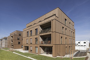 Foto von zwei mehrgeschossigen Gebäuden aus Holz und mit Holzfassade.