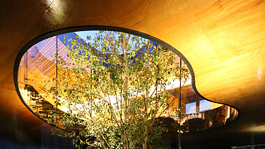 Foto eines beleuchteten Gartens mit Überdachung. In der Mitte ist ein Loch, in dem ein Baum hochwächst.