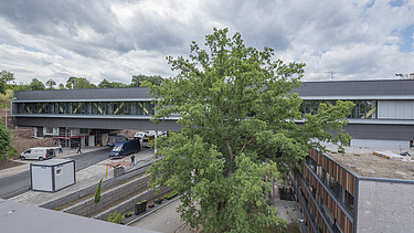 Photo of a wooden bridge structure at the district administration office in Calw.