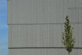 Photo of the wooden façade of the Diedorf secondary school sports hall.