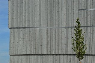 Photo of the wooden façade of the Diedorf secondary school sports hall.