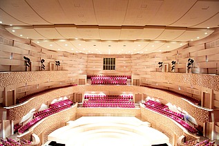 Foto des Konzertsaals des Mariinsky Theaters in St. Petersburg. FSH-Akustikelmente.
