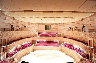 Photo of the concert hall of the Mariinsky Theater in St. Petersburg. FSH acoustic elements.