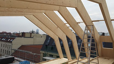 Foto der Montage der Metropolitan School Berlin. Zu erkennen sind viele Holzelemente.