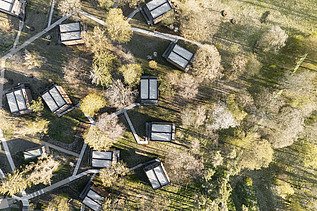 Photo of an aerial view. You can see the flat roofs of many small houses and treetops.