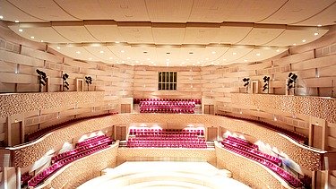 Photo of the concert hall of the Mariinsky Theater in St. Petersburg. FSH acoustic elements.