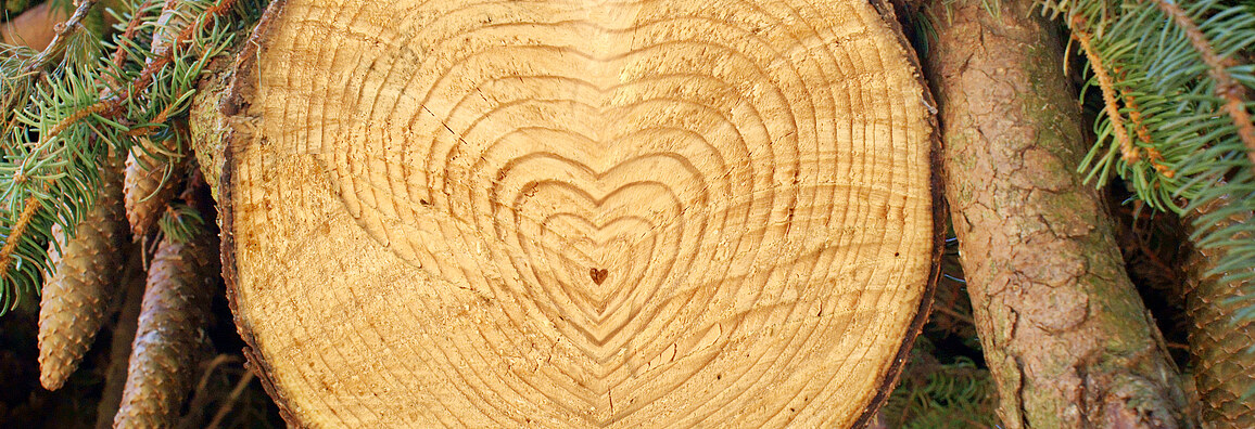 Holzscheibe, ZÜBLIN Timber Foto von einer Holzscheibe mit Herzlebenslinien