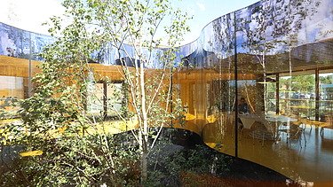 Photo of a section of a building with a glass window front. A tree top is in the picture.