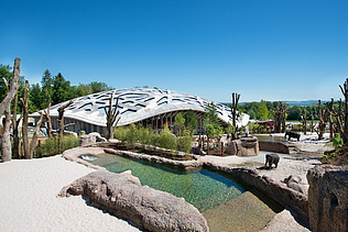 Foto des Elefantenparks in Zürich von außen. Zu sehen ist eine große Holzdachkonstruktion des Gebäudes.